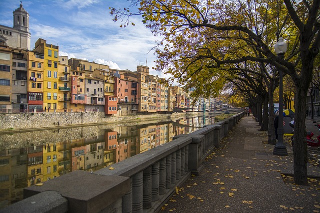 Moving Company Ireland to Spain