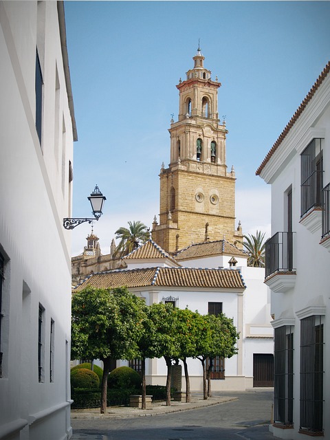 Moving Company Ireland to Spain