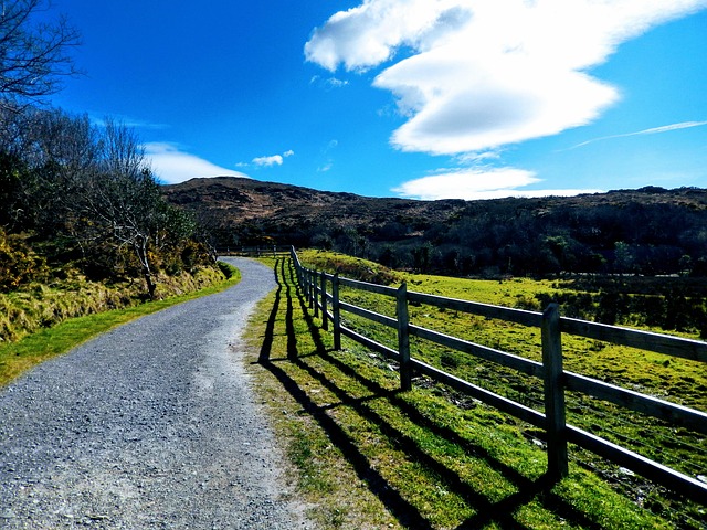 Moving Company Ireland to Spain