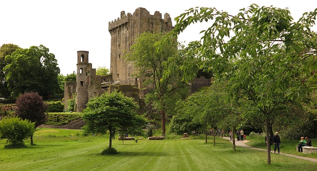 Moving Company Ireland to UK
