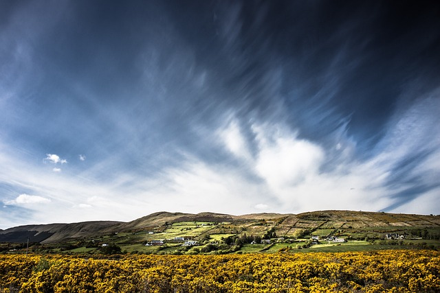 Moving Company Ireland to UK