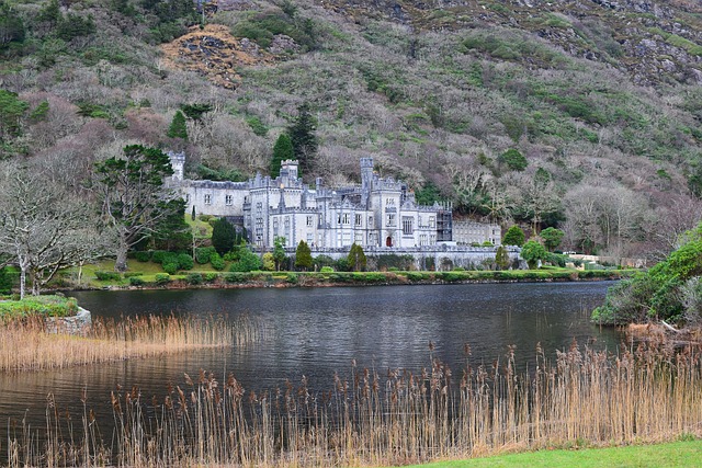 Moving Company Ireland to UK