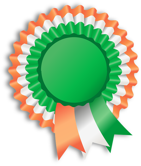 moving-company-ireland-to-usa-640x480-14624583.png
