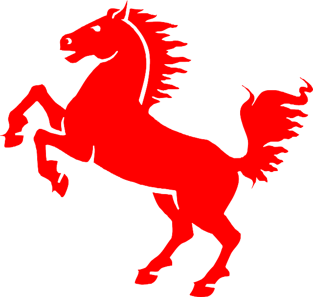 Moving Company Leixlip Kildare