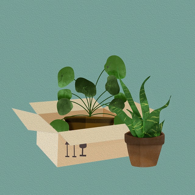 Moving Company Leixlip Kildare