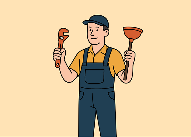 professional packing service dublin
