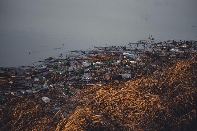 Rubbish Removal Dublin