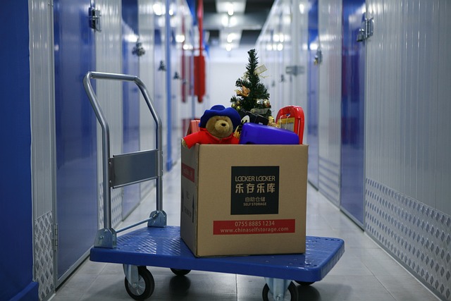 storage and moving dublin