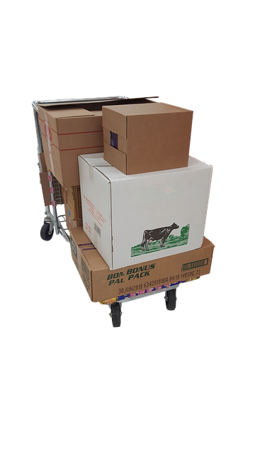 storage and moving dublin