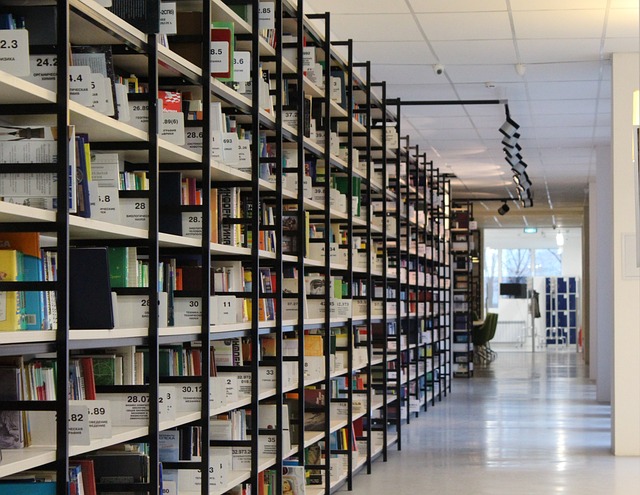 storage rental dublin