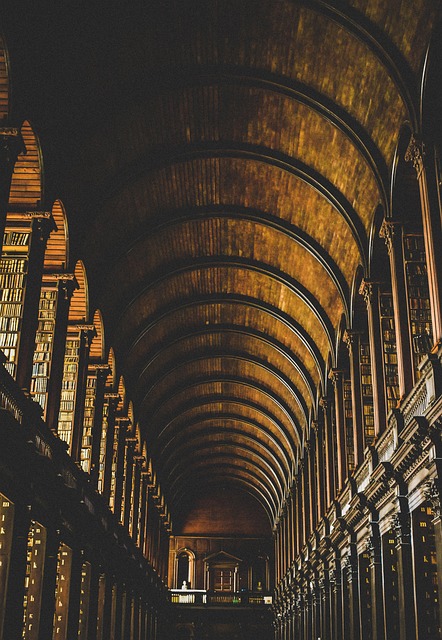 storage rental dublin