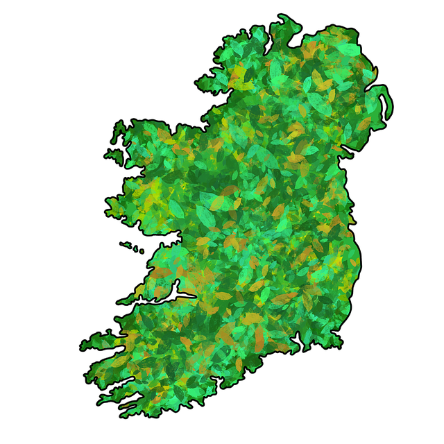 storage rental dublin