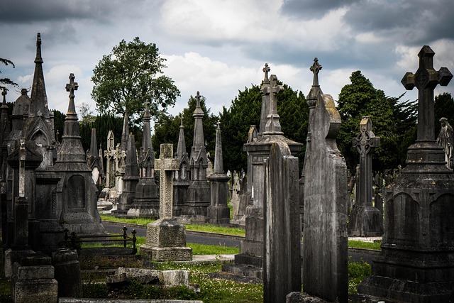 weekend movers dublin