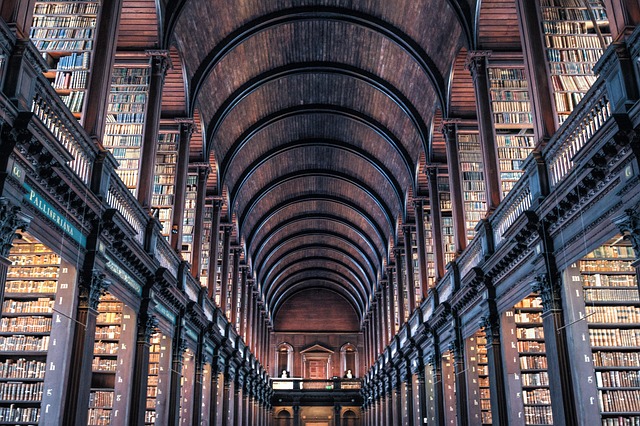 dublin moving companies