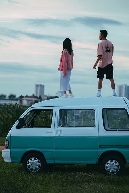 Man with a Van Dublin