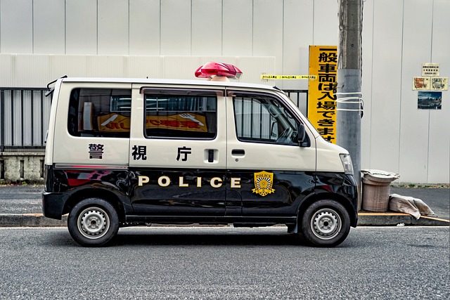 Man with a Van Lucan