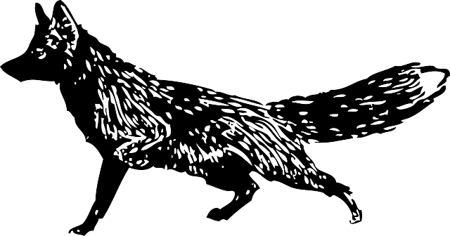moving-640x480-59309922.png