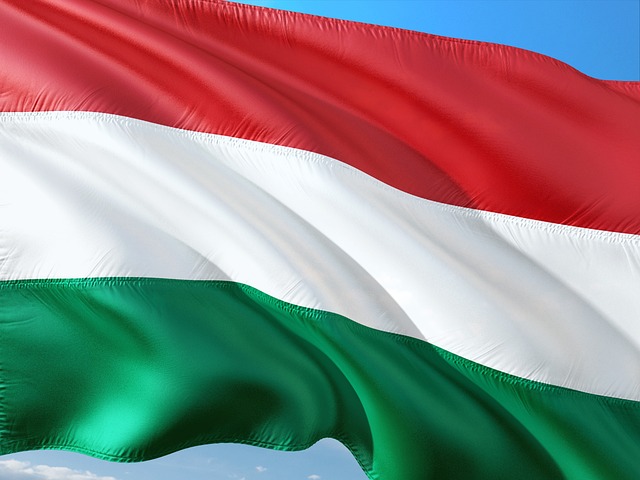 Moving Company Ireland to Germany