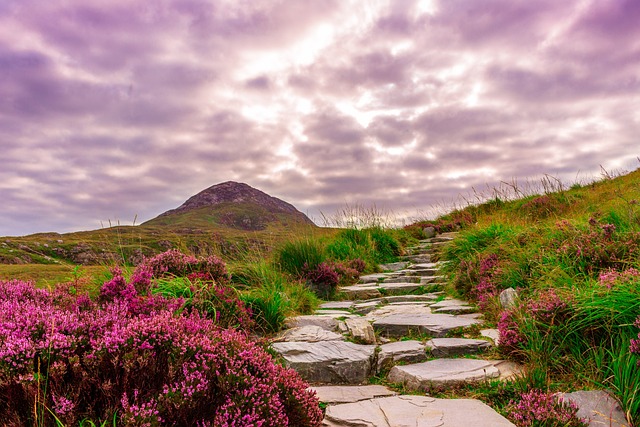 Moving Company Ireland to Germany