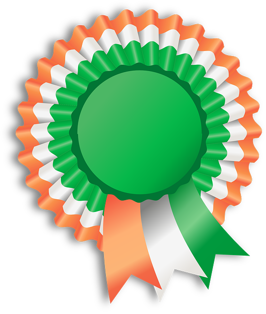 moving-company-ireland-to-usa-640x480-49393047.png