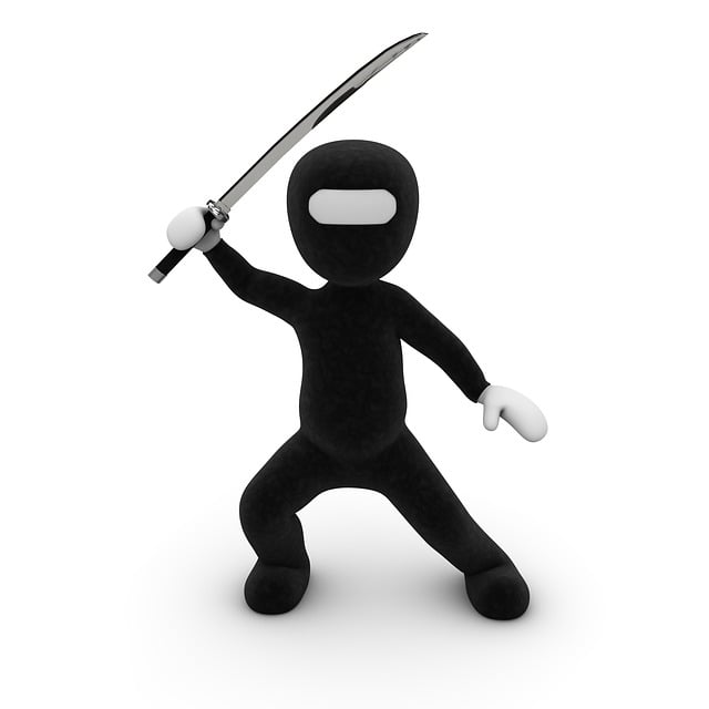 Moving Company Swords Dublin