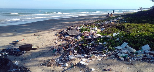 rubbish-removal-dublin-640x480-76118461.jpeg