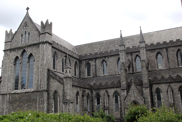 storage rental dublin
