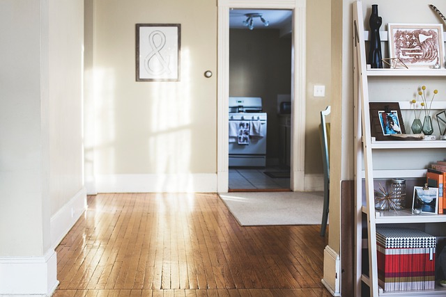 cheap apartment movers dublin