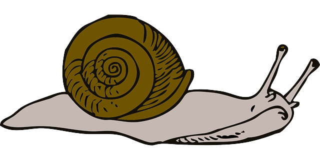 moving-640x480-55659813.png