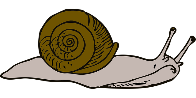 moving-640x480-89195466.png