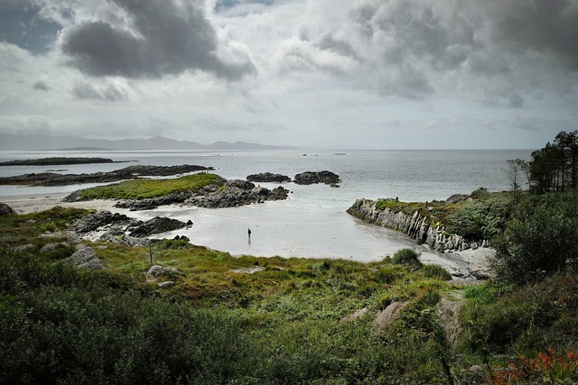 Moving Company Ireland to Spain