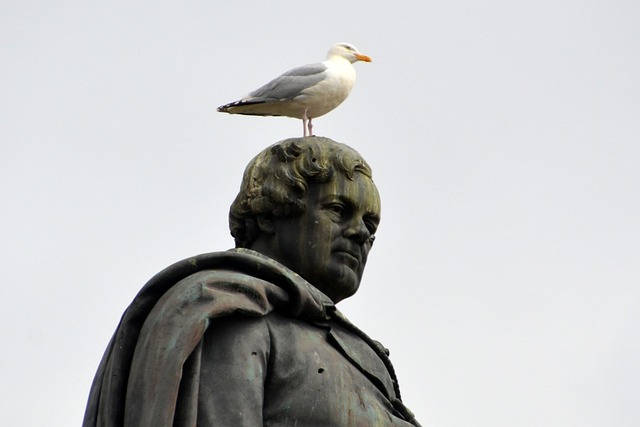 cheap apartment movers dublin