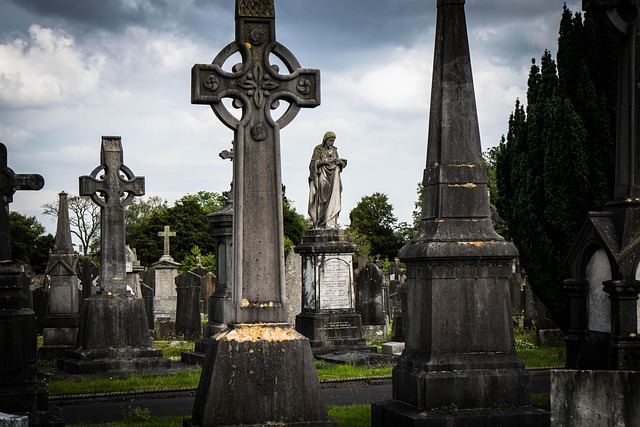 Dublin Movers