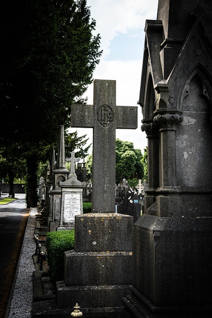 man-with-a-van-dublin-640x480-11433397.jpeg
