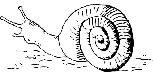 moving-640x480-55338766.png