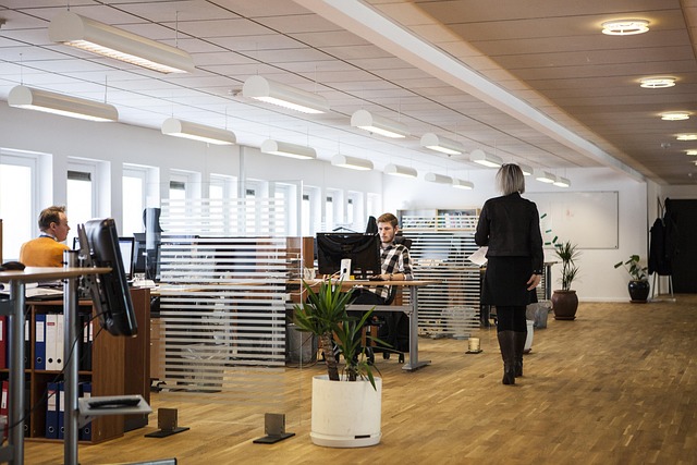 Moving Company Citywest Dublin 24