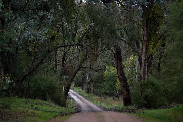 moving-company-ireland-to-australia-640x480-25779708.jpeg