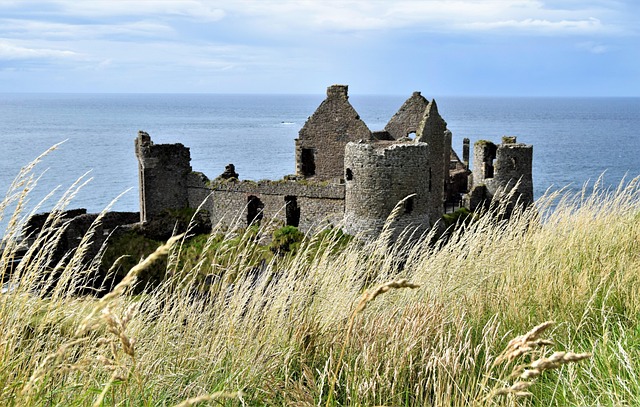 Moving Company Ireland to Spain