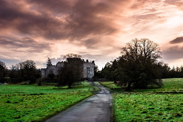 Moving Company Ireland to UK