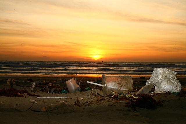 rubbish-removal-dublin-640x480-37622014.jpeg