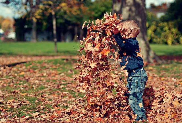 weekend movers dublin
