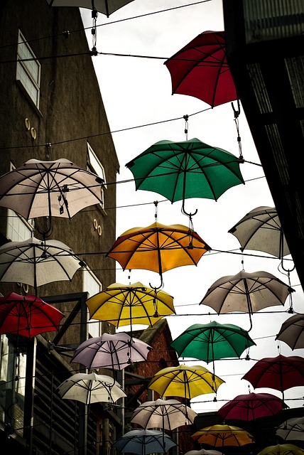 movers and packers dublin