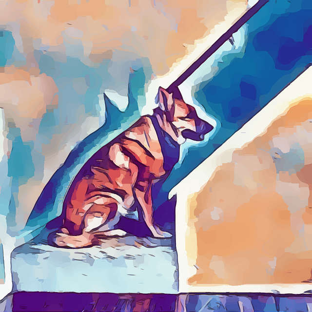 moving-company-dublin-9-640x480-58645379.png