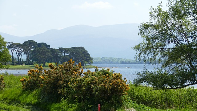 moving-company-ireland-to-germany-640x480-24289233.jpeg