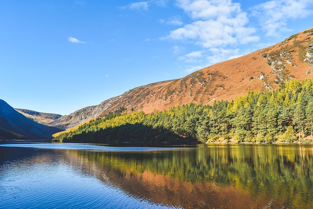 Moving Company Ireland to Spain