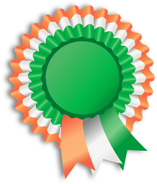 moving-company-ireland-to-usa-640x480-80260076.png