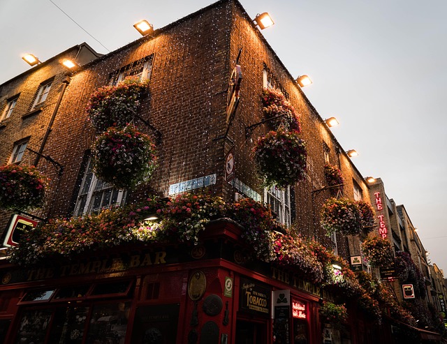 Moving Company Dublin 11