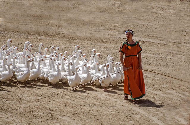 dublin moving companies