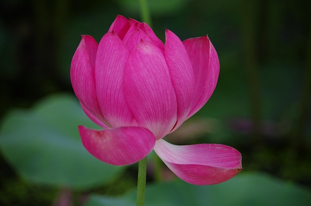 moving