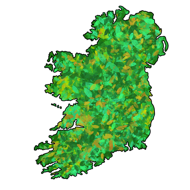 Moving Company Blackrock Dublin 4